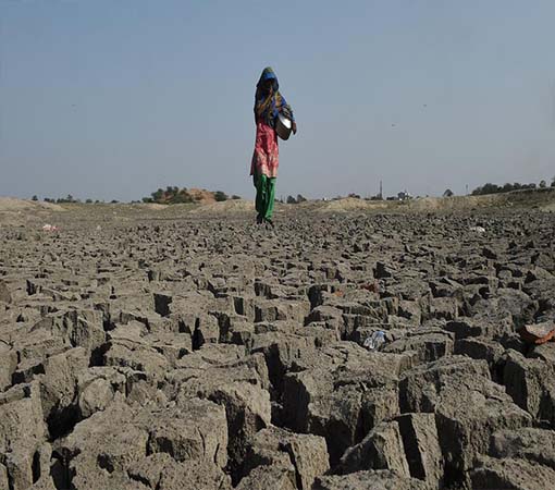 S.K.Shikshan evam Samajik Vikas Sansthan | http://skngo.in