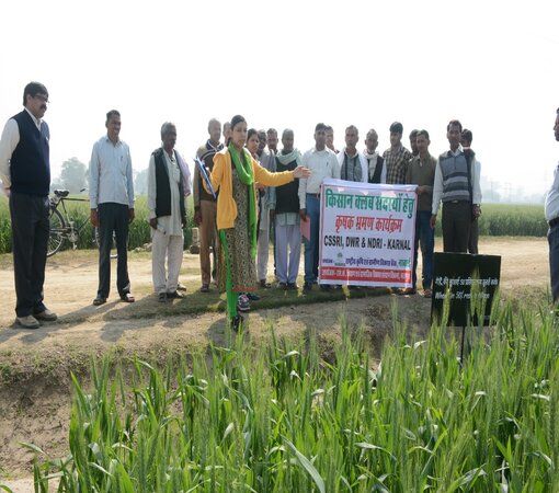 S.K.Shikshan evam Samajik Vikas Sansthan | http://skngo.in